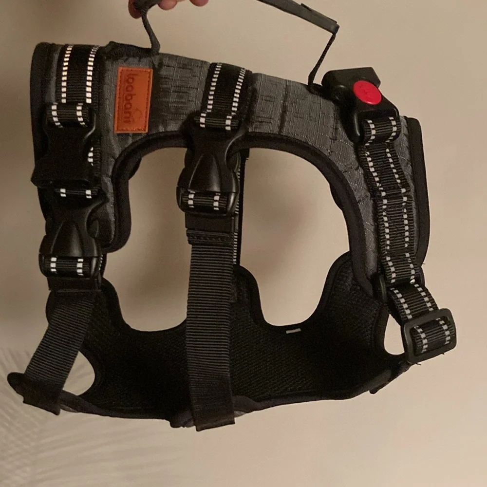 Dog lift harness
